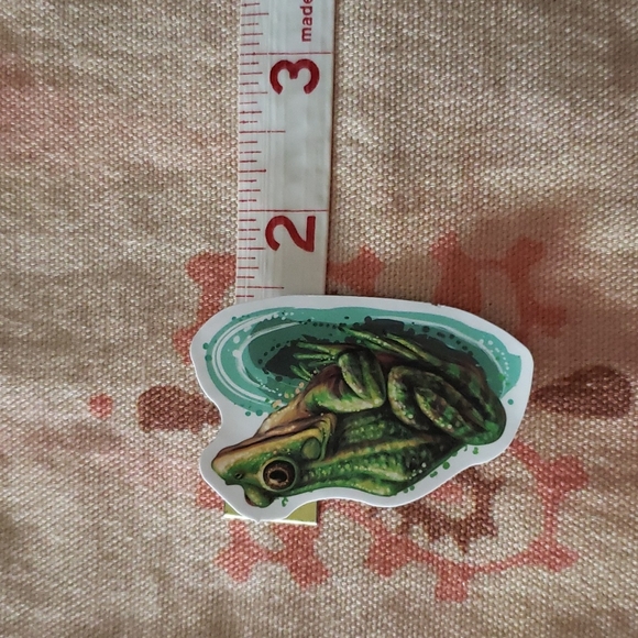 (B) Frog Sticker 🐸 - Picture 4 of 5